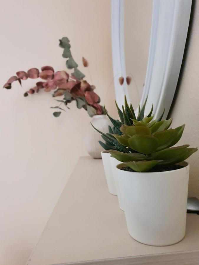 Stergios_Apartments 06 科扎尼 外观 照片